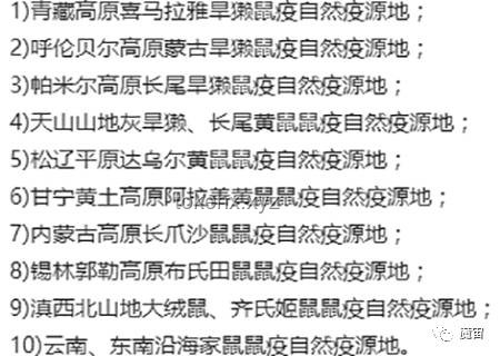 你可能不认识我，但一定听过我做的坤曲：打造个人音乐品牌的实用指南